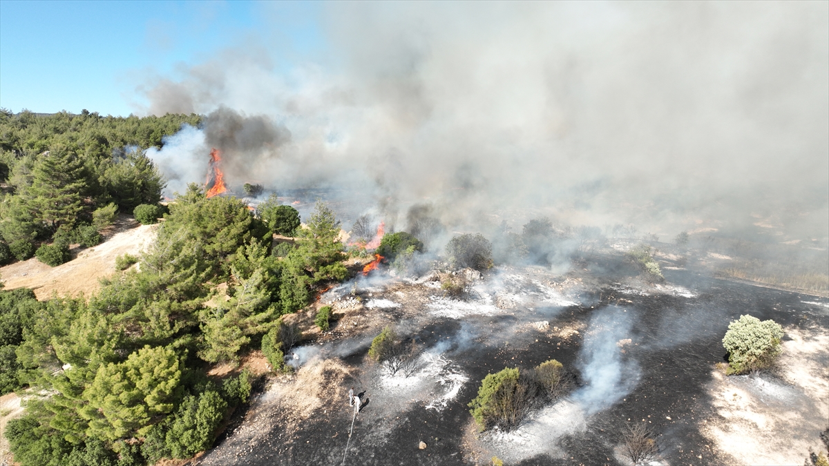 A A 20250701 38434212 38434188 M A N I S A D A 3 I L C E D E K I O R M A N Y A N G I N L A R I N A M U D A H A L E S U R U Y O R