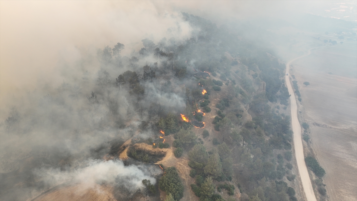 A A 20250701 38434212 38434191 M A N I S A D A 3 I L C E D E K I O R M A N Y A N G I N L A R I N A M U D A H A L E S U R U Y O R