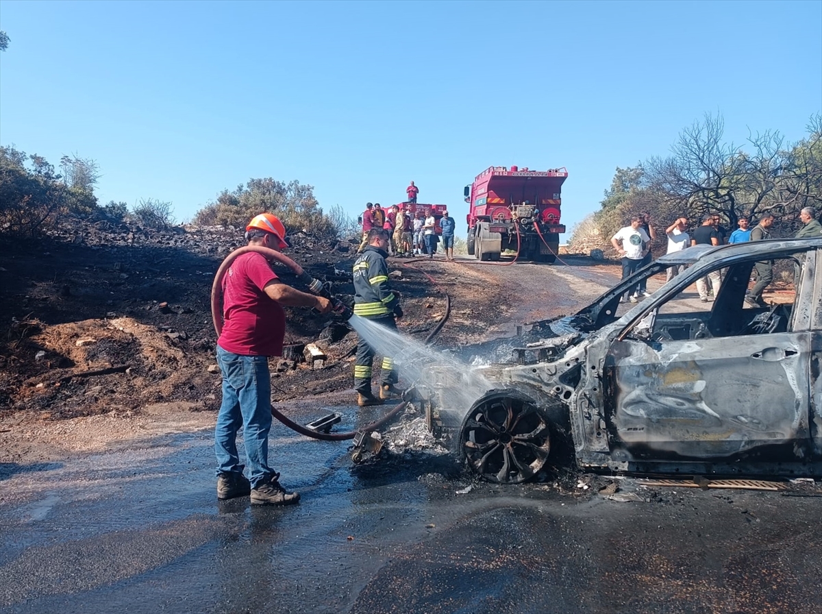 A A 20250702 38445405 38445403 M U G L A D A O T O M O B I L D E N O R M A N A S I C R A Y A N Y A N G I N S O N D U R U L D U