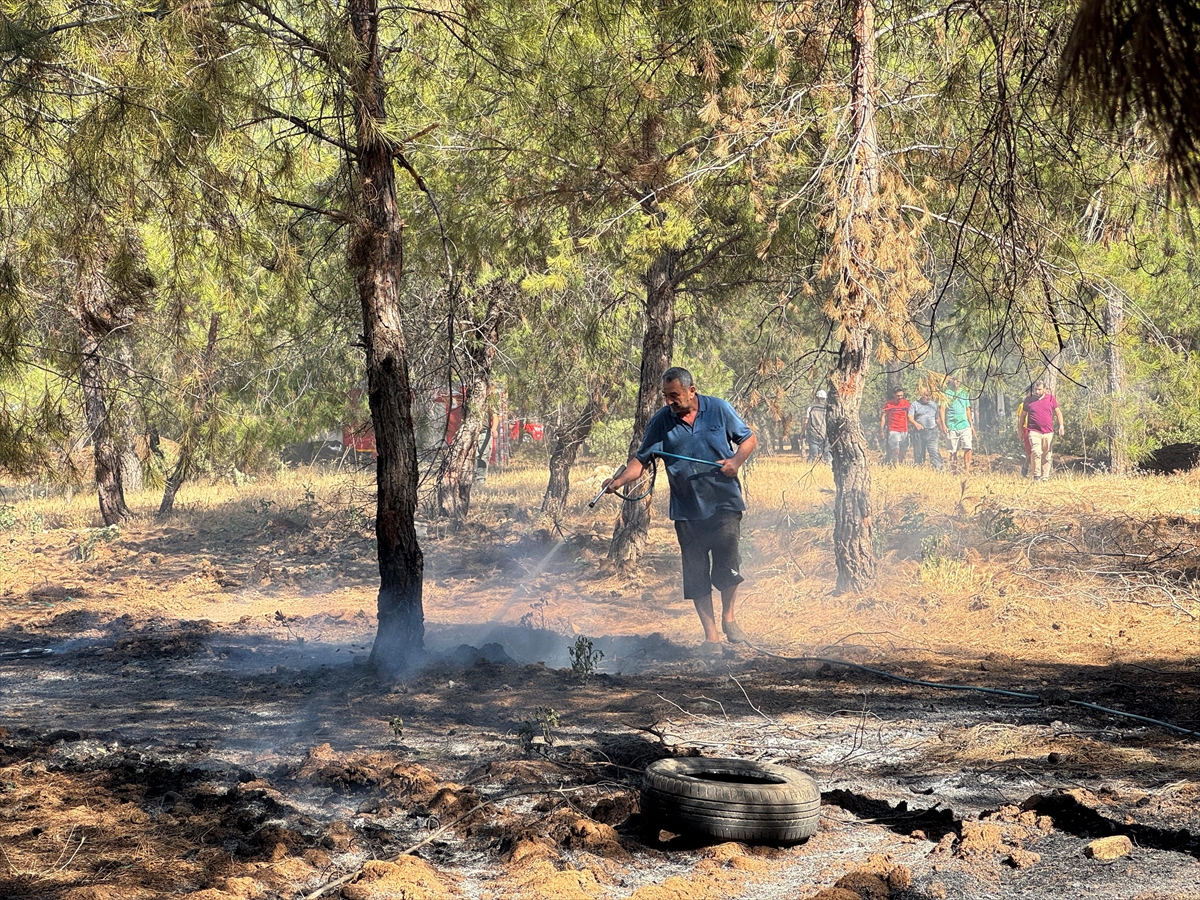 A A 20250704 38471523 38471519 F E T H I Y E D E C I K A N O R M A N Y A N G I N I N A M U D A H A L E E D I L I Y O R