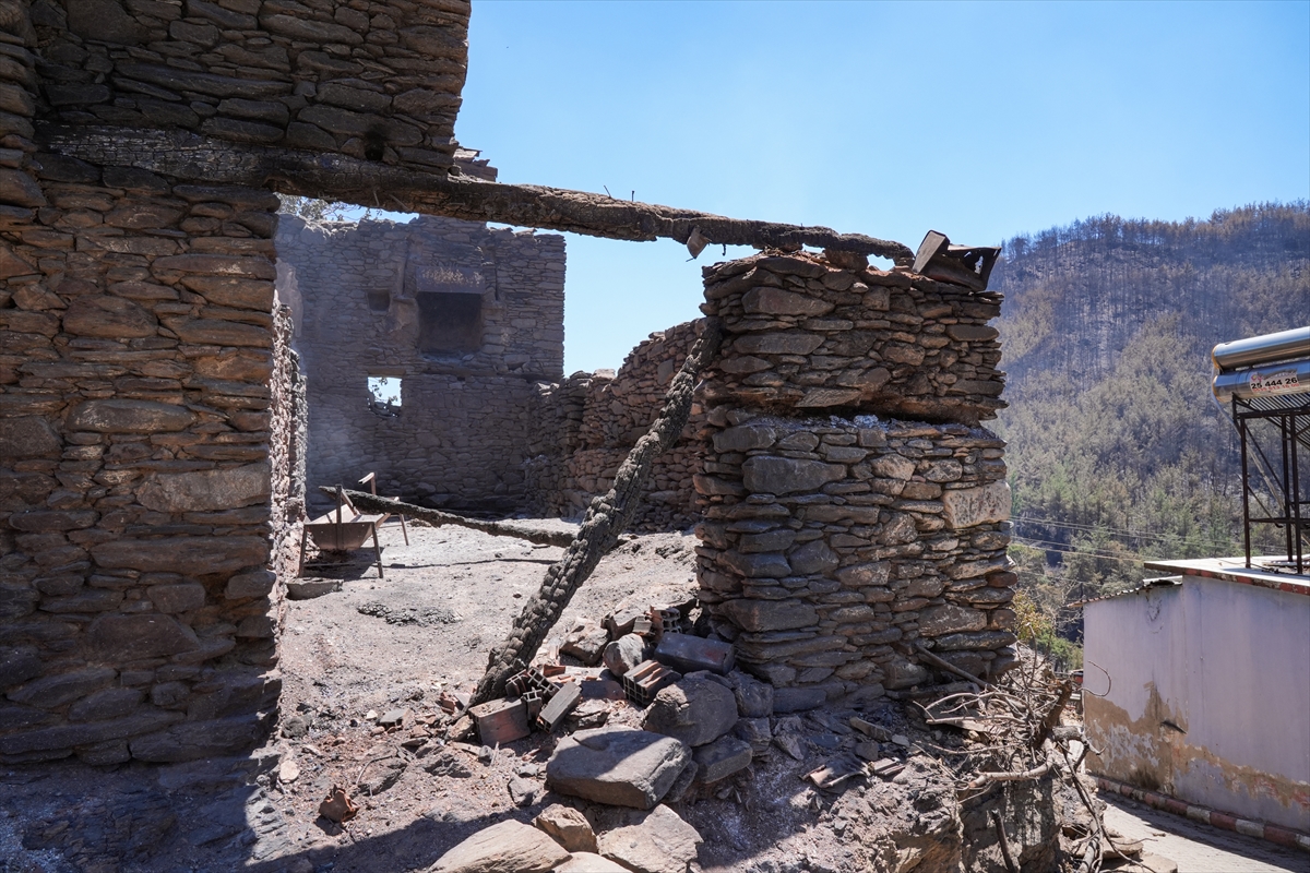 A A 20250704 38471609 38471596 I Z M I R O D E M I S T E K I O R M A N Y A N G I N I 40 H A N E L I M A H A L L E Y I H A Y A L E T K O Y E D O N U S T U R D U