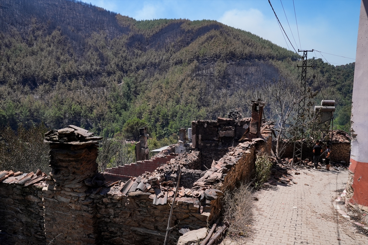 A A 20250704 38471609 38471597 I Z M I R O D E M I S T E K I O R M A N Y A N G I N I 40 H A N E L I M A H A L L E Y I H A Y A L E T K O Y E D O N U S T U R D U