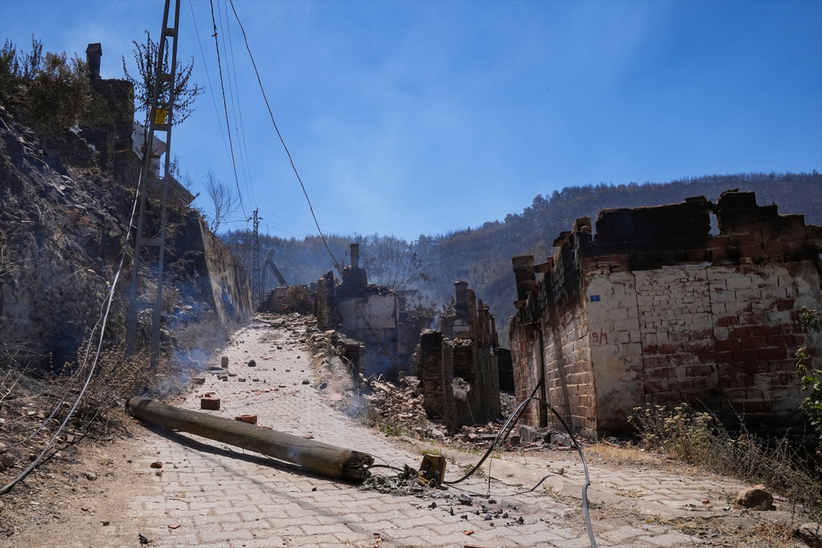 A A 20250704 38471609 38471598 I Z M I R O D E M I S T E K I O R M A N Y A N G I N I 40 H A N E L I M A H A L L E Y I H A Y A L E T K O Y E D O N U S T U R D U