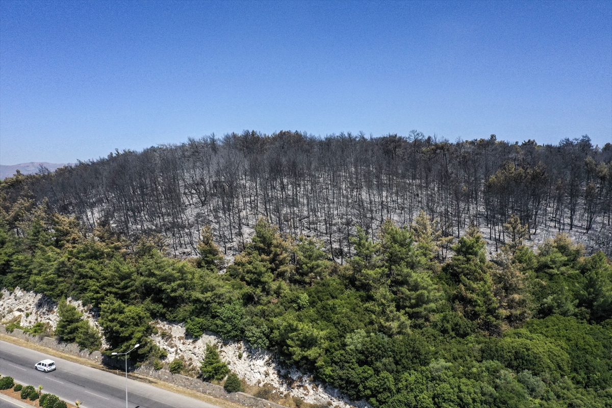 A A 20250706 38484057 38484033 B U C A D A Y A N A N O R M A N L I K A L A N H A V A D A N G O R U N T U L E N D I