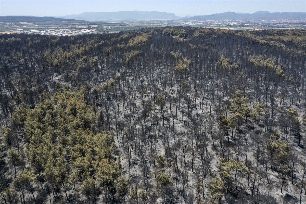 A A 20250706 38484057 38484040 B U C A D A Y A N A N O R M A N L I K A L A N H A V A D A N G O R U N T U L E N D I