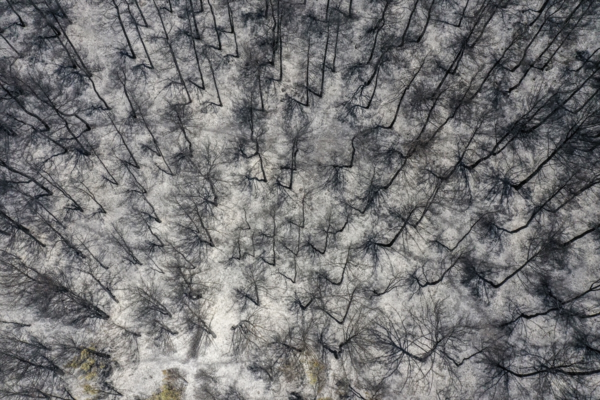 A A 20250706 38484057 38484053 B U C A D A Y A N A N O R M A N L I K A L A N H A V A D A N G O R U N T U L E N D I