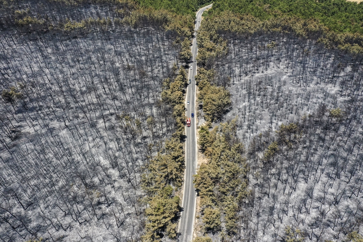 Aa 20250706 38484057 38484045 Bucada Yanan Ormanlik Alan Havadan Goruntulendi (1)