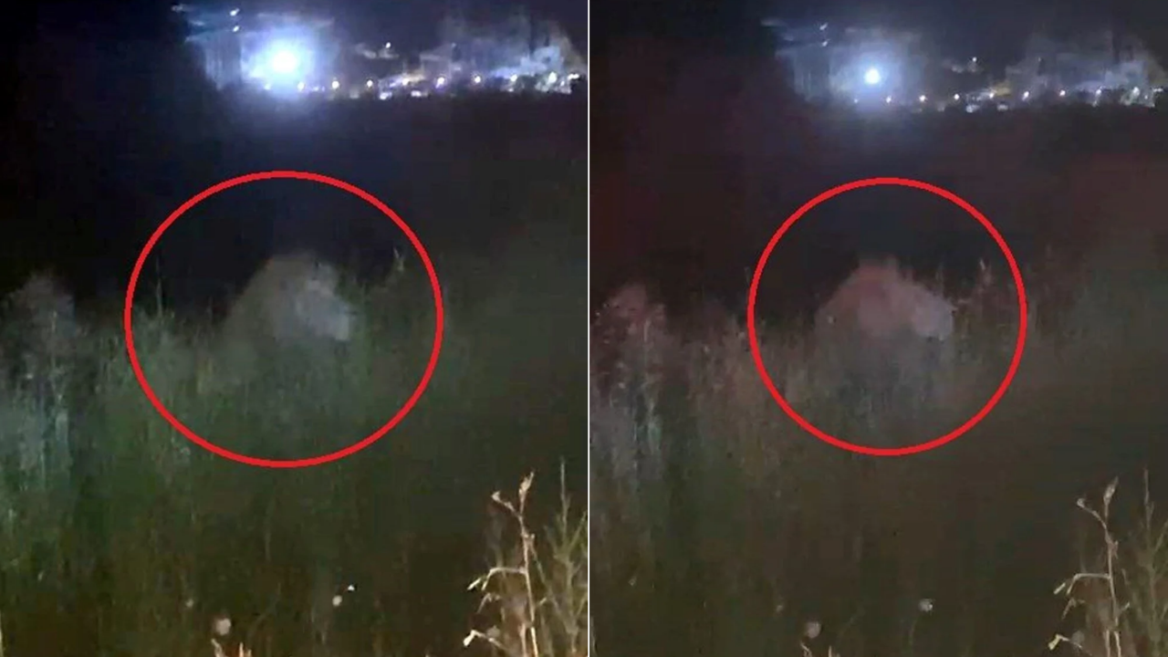 Ekonomi̇st 2025 07 06T114302.118