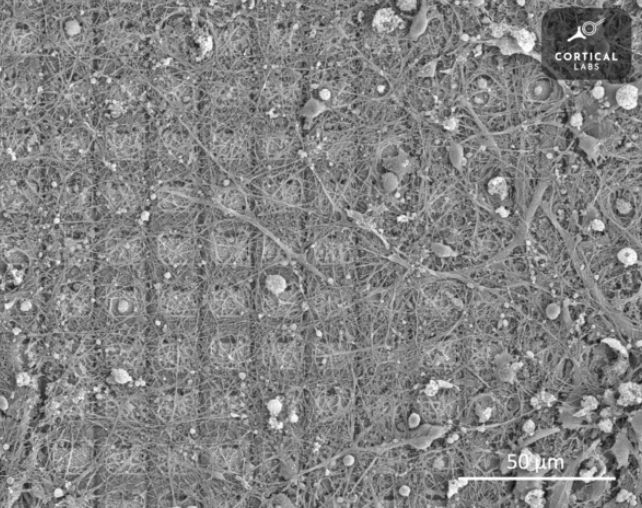 Resim 2025 07 04 135928762