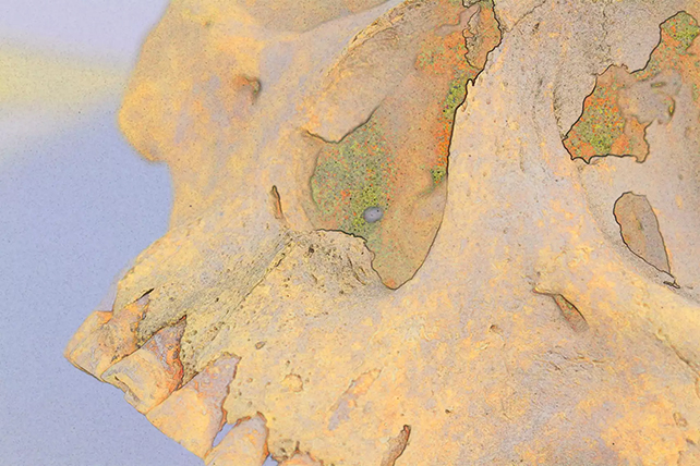 Resim 2025 07 05 095746878