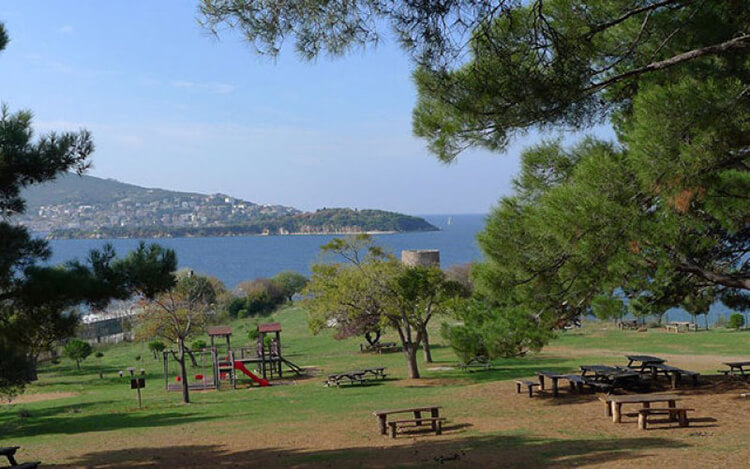 Resim 2025 07 06 151947016