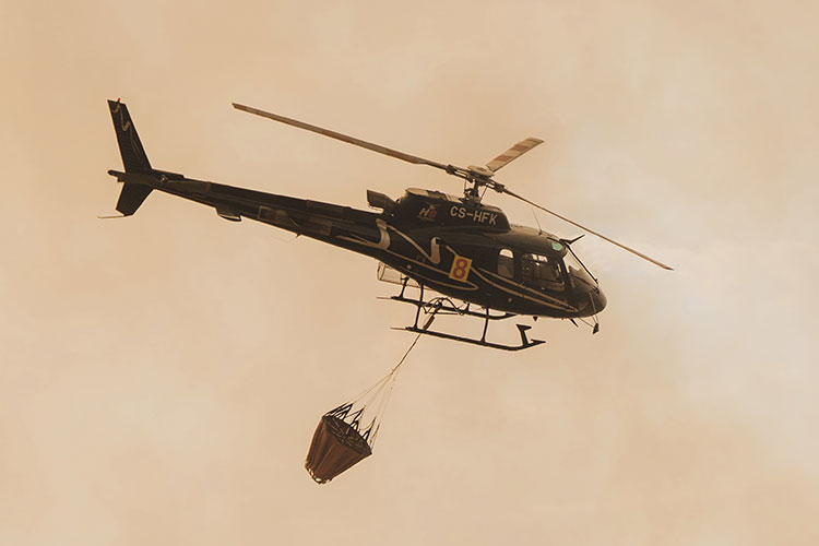 02.06 13 New Folder New Folder (15) Aa 38870758