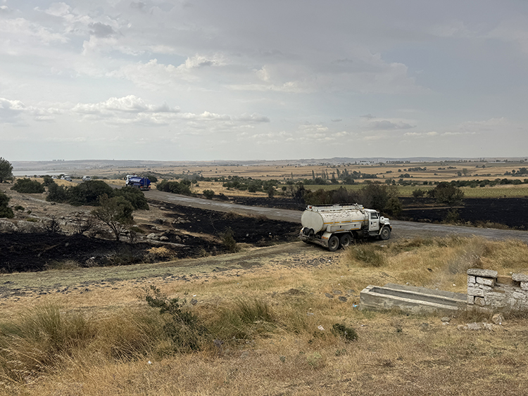 06 2025 05 A G U S T O S 07 20250806 2 70248280 115797117