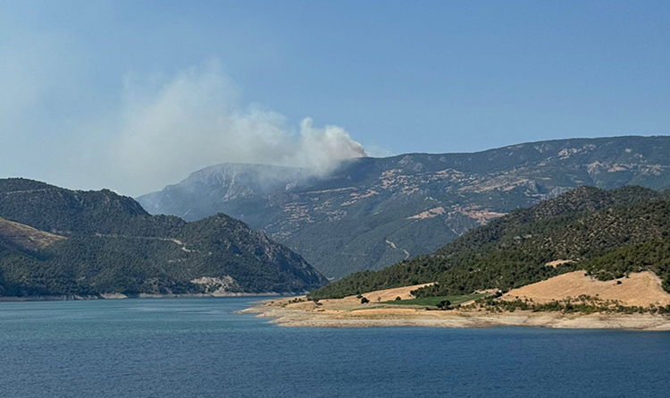 06 2025 05 A G U S T O S 07 20250809 2 70290335 115885755