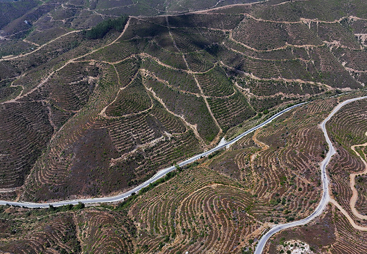 07 11 02 A A 38727924