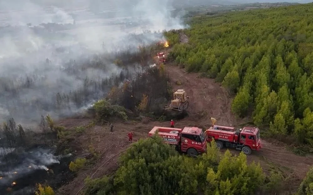 12 W I Tn K36K2Y Z8V Ln St5G