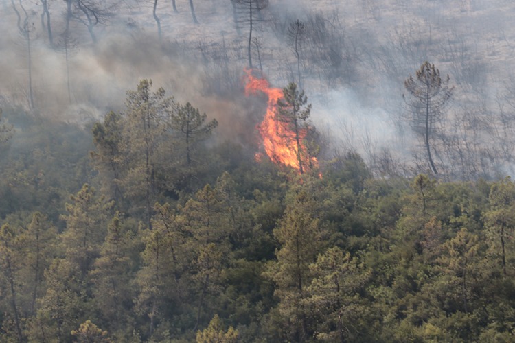 2025 08 20250824 2 70475434 116324034