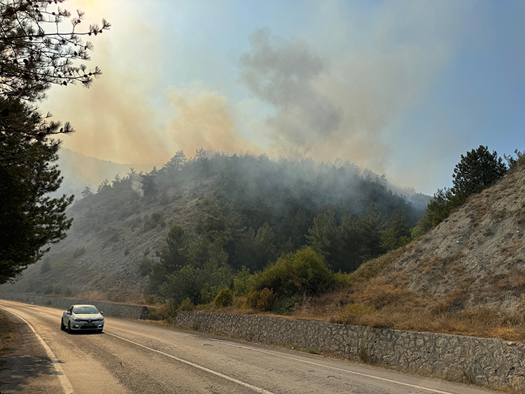 2025 15 20250805 2 70235102 115769272