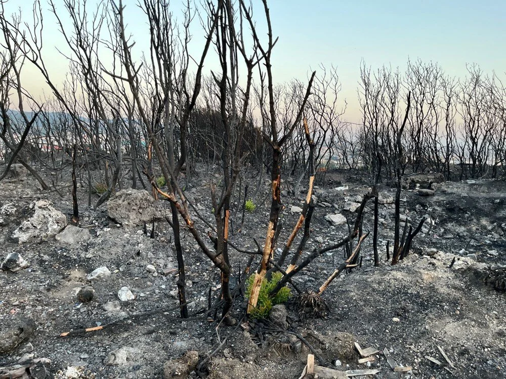 54 Um4Wh Oi0Af Eva1 S6B9 F A