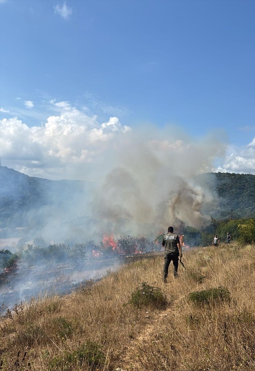 A A 20250802 38727867 38727865 K I R K L A R E L I N D E C I K A N O R M A N Y A N G I N I S O N D U R U L D U