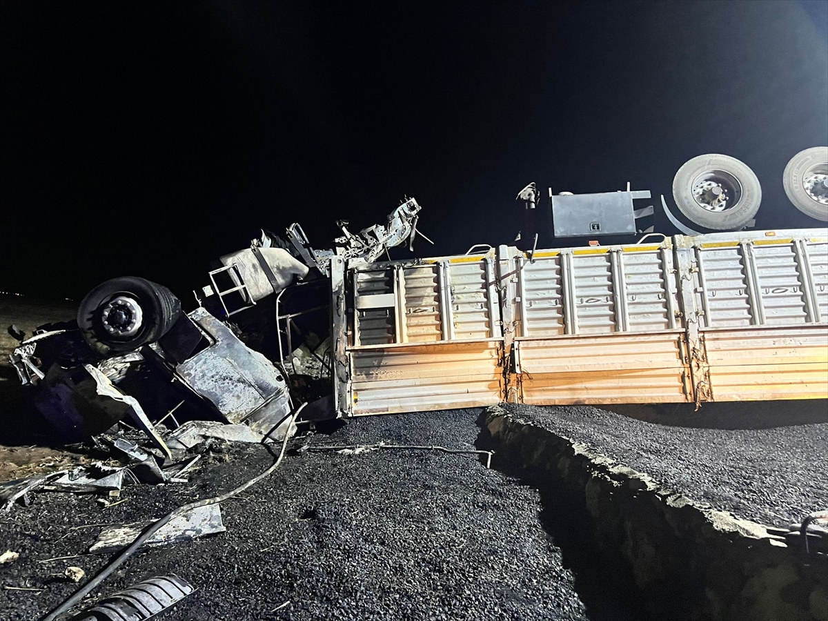 A A 20250804 38746176 38746175 M A R D I N D E D E V R I L I P A L E V A L A N T I R I N S U R U C U S U O L D U