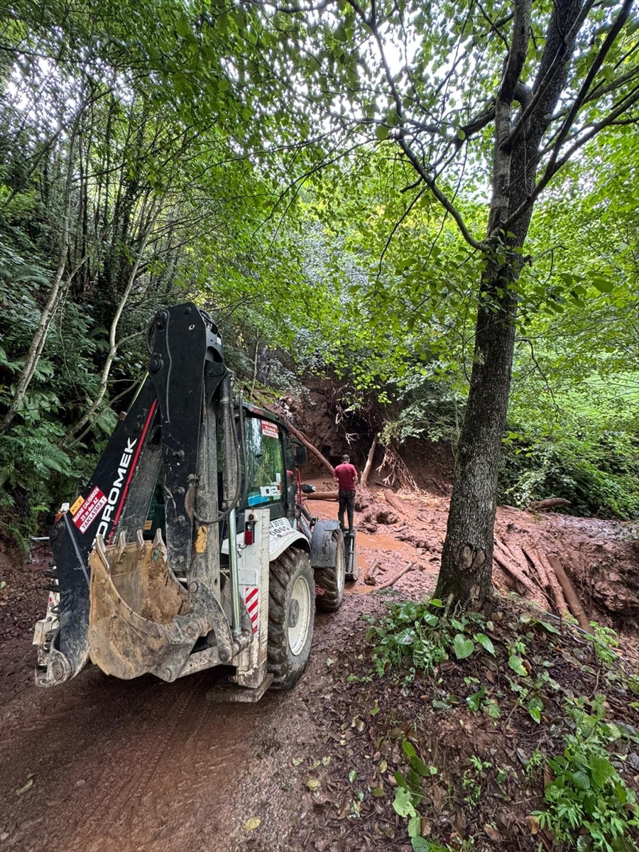 A A 20250810 38792395 38792393 R I Z E N I N B A Z I I L C E L E R I N D E H E Y E L A N L A R M E Y D A N A G E L D I