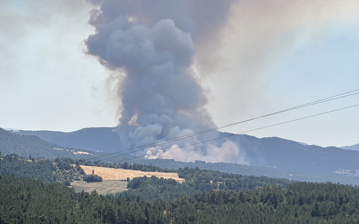 A A 20250811 38799786 38799785 B O L U D A C I K A N O R M A N Y A N G I N I N A M U D A H A L E E D I L I Y O R