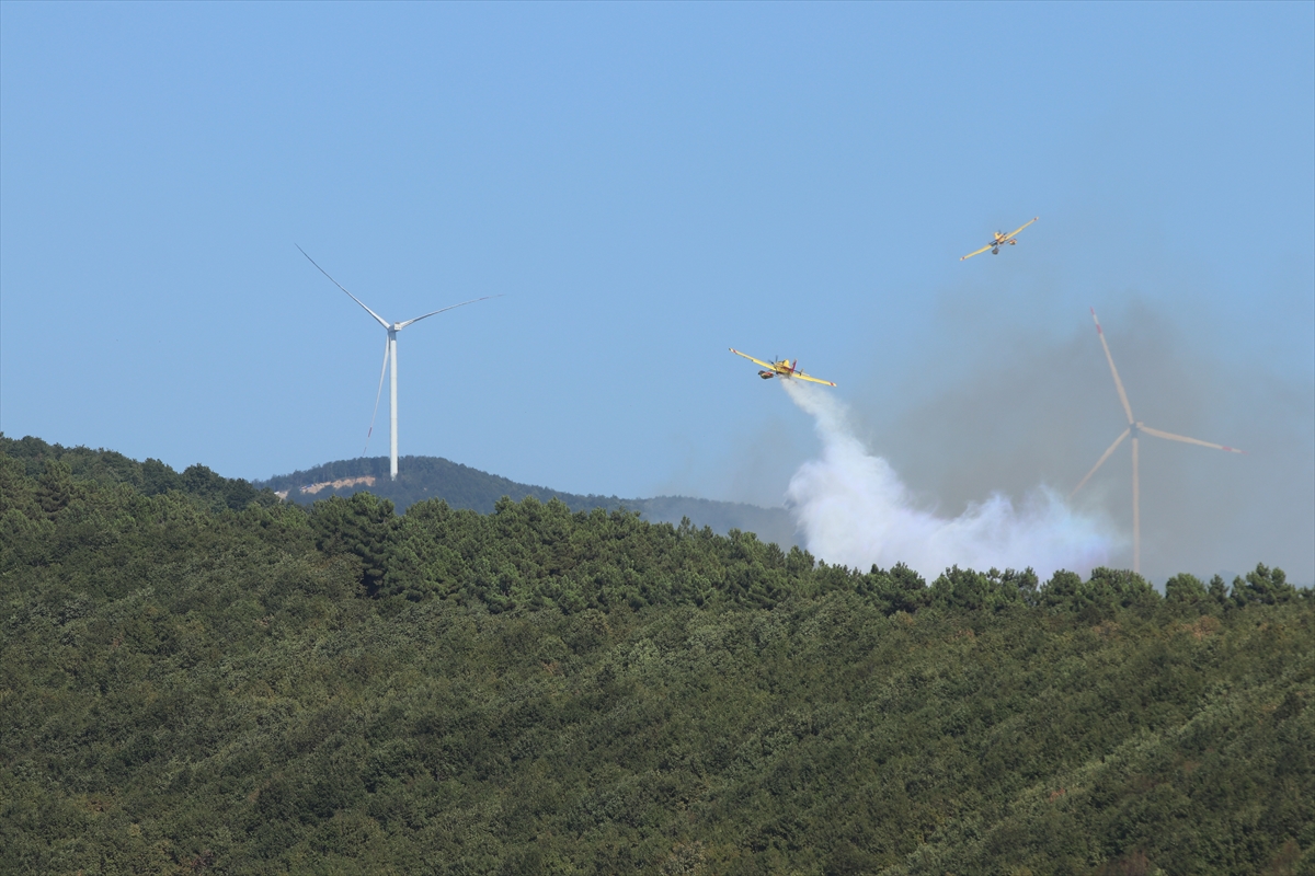 A A 20250815 38838589 38838588 K O C A E L I D E C I K A N O R M A N Y A N G I N I N A M U D A H A L E E D I L I Y O R