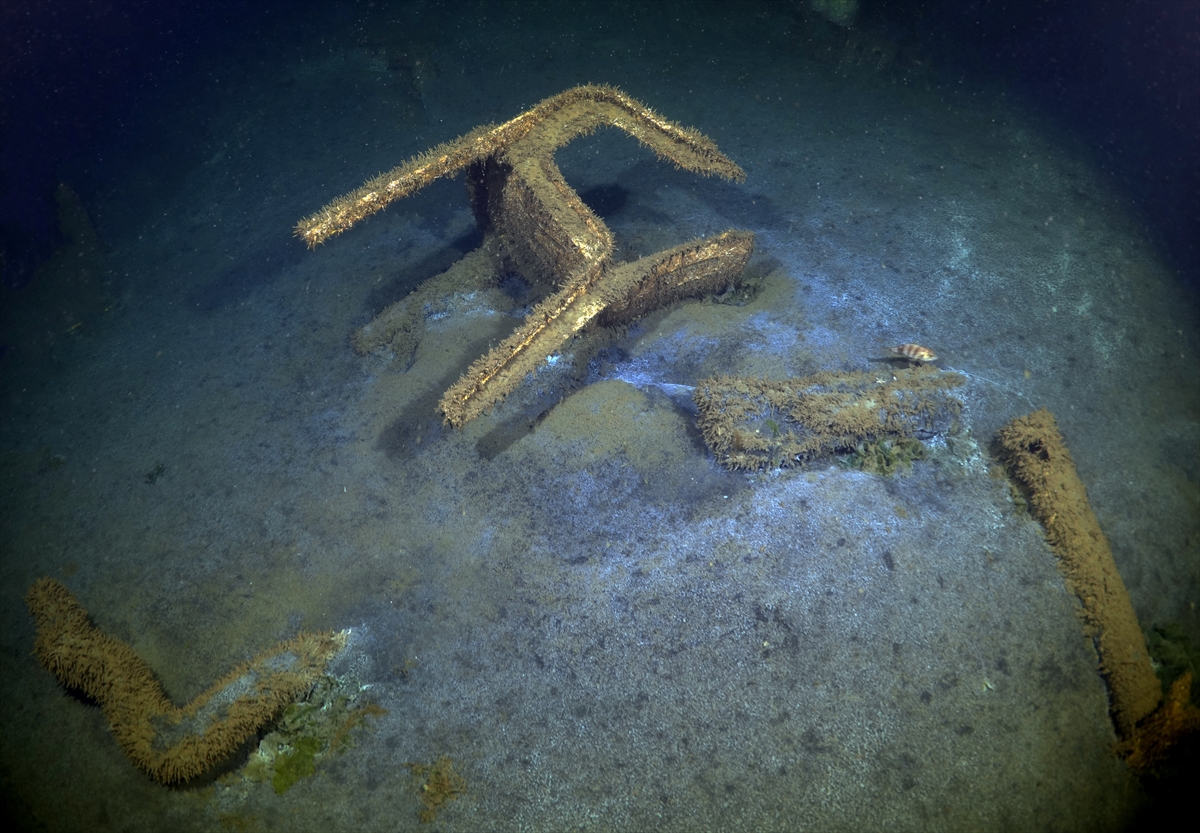 A A 20250816 38844037 38844012 M A R M A R A D E P R E M I N I N M E R K E Z U S S U G O L C U K T E D E N I Z D I B I N D E K I A F E T I Z L E R I G O R U N T U L E N D I