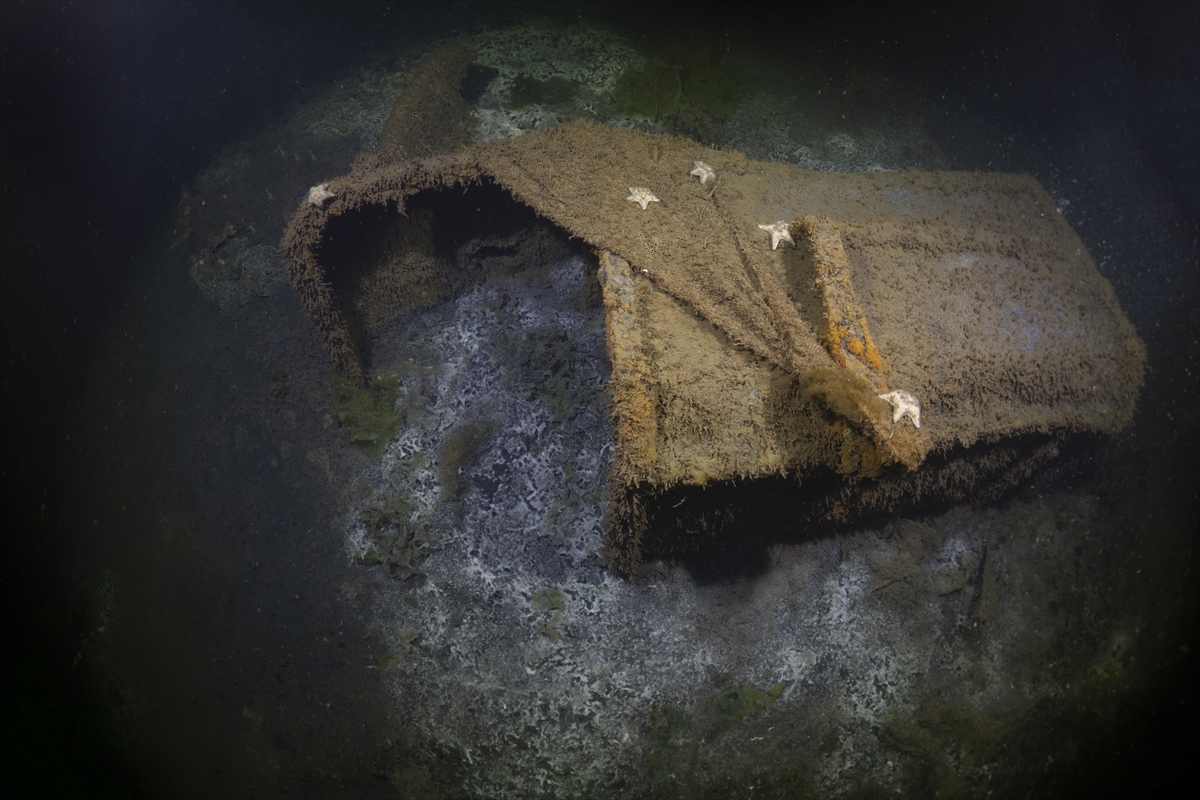 A A 20250816 38844037 38844014 M A R M A R A D E P R E M I N I N M E R K E Z U S S U G O L C U K T E D E N I Z D I B I N D E K I A F E T I Z L E R I G O R U N T U L E N D I