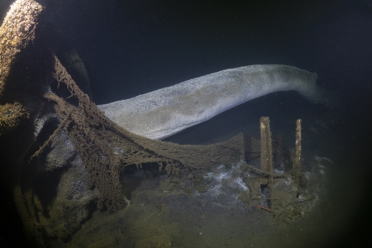 A A 20250816 38844037 38844020 M A R M A R A D E P R E M I N I N M E R K E Z U S S U G O L C U K T E D E N I Z D I B I N D E K I A F E T I Z L E R I G O R U N T U L E N D I