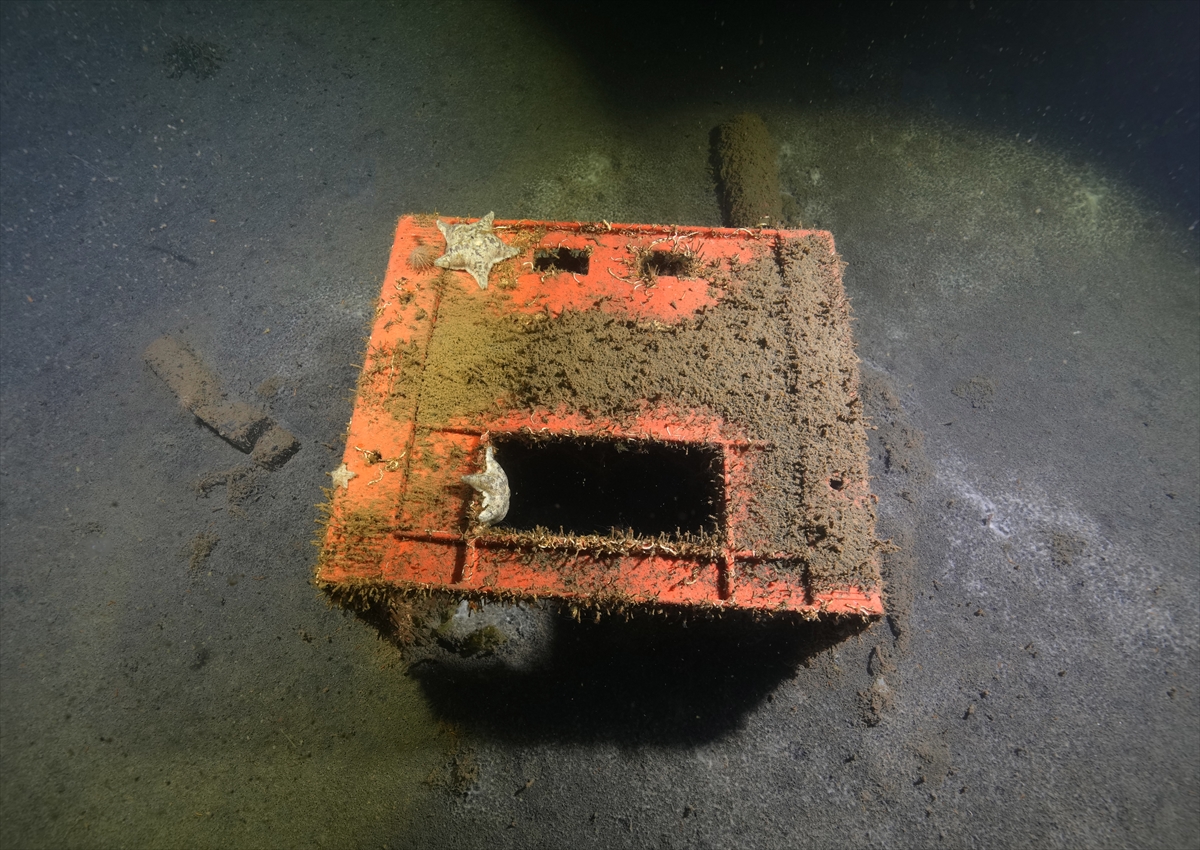 A A 20250816 38844037 38844022 M A R M A R A D E P R E M I N I N M E R K E Z U S S U G O L C U K T E D E N I Z D I B I N D E K I A F E T I Z L E R I G O R U N T U L E N D I