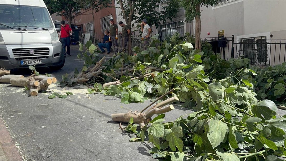 A A 20250816 38845416 38845414 I S T A N B U L D A E T K I S I N I S U R D U R E N F I R T I N A H A Y A T I O L U M S U Z E T K I L I Y O R