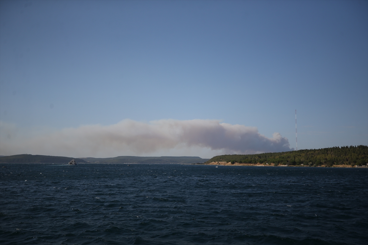 A A 20250816 38846492 38846491 C A N A K K A L E G E L I B O L U D A O R M A N L I K A L A N D A C I K A N Y A N G I N A M U D A H A L E E D I L I Y O R