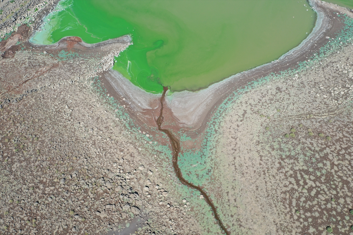 A A 20250817 38850426 38850415 S A N L I U R F A D A 49 S E N E D I R A R A Z I L E R I S U L A Y A N G O L E T K U R A K L I K N E D E N I Y L E A L A R M V E R I Y O R