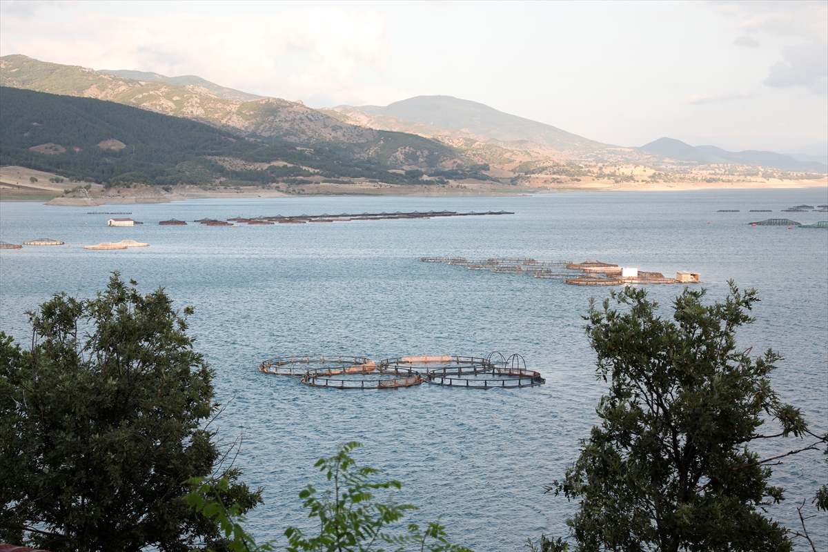 A A 20250822 38892960 38892956 T O K A T T A N N O R V E C H O L L A N D A R U S Y A V E J A P O N Y A Y A B A L I K I H R A C A T I