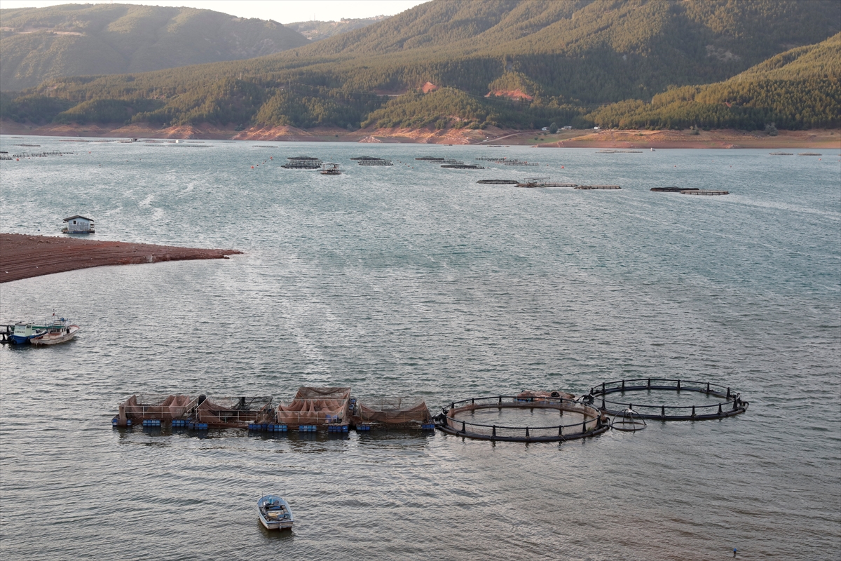 A A 20250822 38892960 38892958 T O K A T T A N N O R V E C H O L L A N D A R U S Y A V E J A P O N Y A Y A B A L I K I H R A C A T I