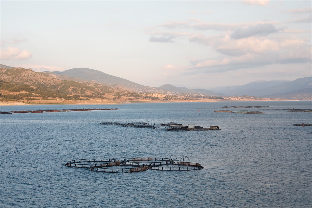 A A 20250822 38892960 38892959 T O K A T T A N N O R V E C H O L L A N D A R U S Y A V E J A P O N Y A Y A B A L I K I H R A C A T I