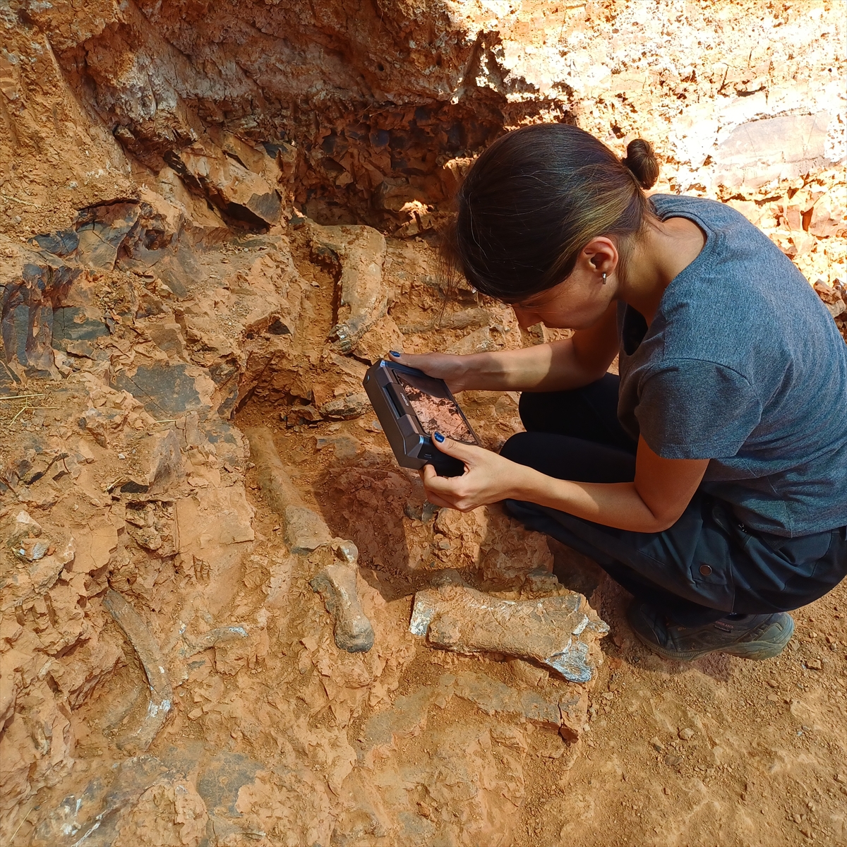 A A 20250822 38893664 38893660 D E N I Z L I T A V A S T A K I K A Z I L A R D A B U L U N A N F O S I L T U R U 27 Y E U L A S T I