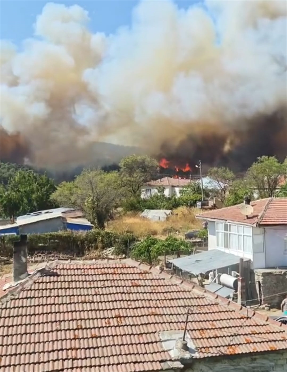 A A 20250822 38895147 38895146 C A N A K K A L E G E L I B O L U D A C I K A N Y A N G I N A M U D A H A L E E D I L I Y O R