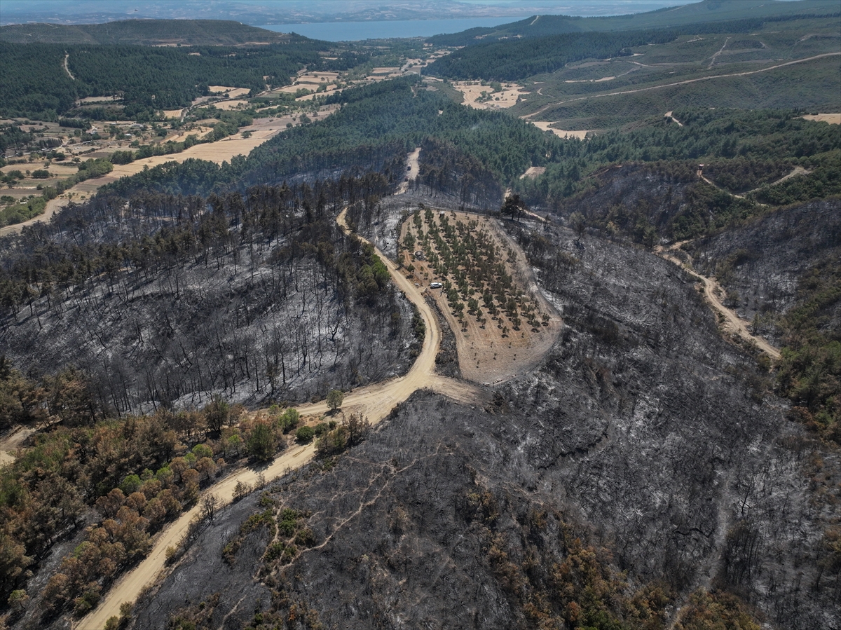 A A 20250823 38902114 38902109 C A N A K K A L E D E K I O R M A N Y A N G I N I 150 A G A C B U L U N A N Z E Y T I N L I G I T E G E T G E C T I