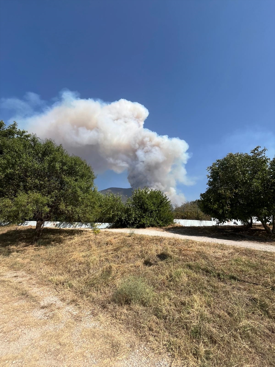 A A 20250823 38903035 38903033 D E N I Z L I N I N P A M U K K A L E I L C E S I N D E O R M A N Y A N G I N I C I K T I