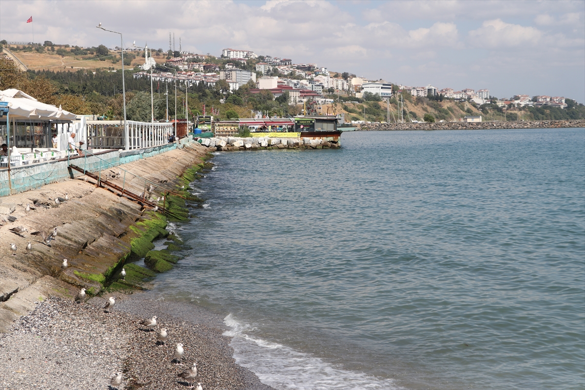 A A 20250829 38957794 38957791 T E K I R D A G D A D E N I Z U L A S I M I N O R M A L E D O N D U