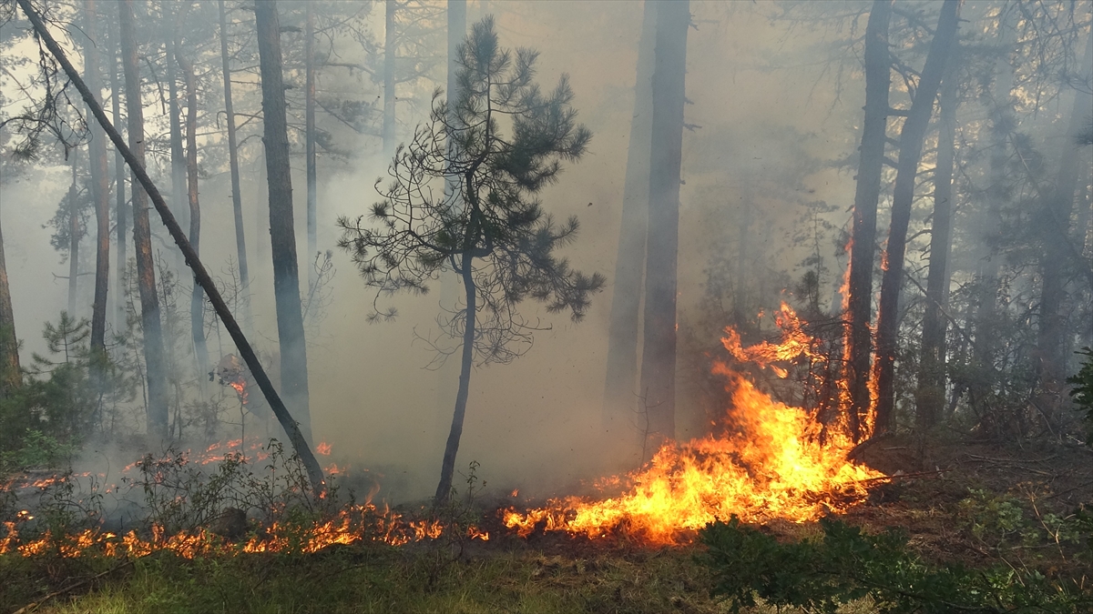 A A 20250831 38979887 38979882 K A R A B U K T E O R M A N L I K A L A N D A C I K A N Y A N G I N A M U D A H A L E E D I L I Y O R