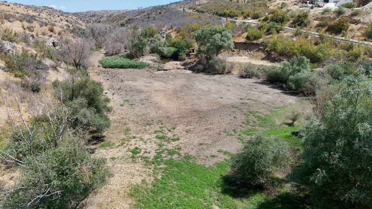 Aa Picture 20250806 38754749