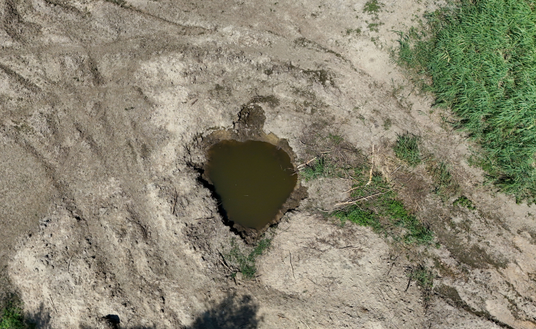 Aa Picture 20250806 38754752