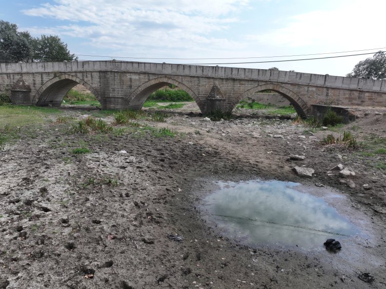 Aa Picture 20250806 38757407