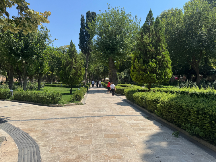 Aa Picture 20250806 38758565