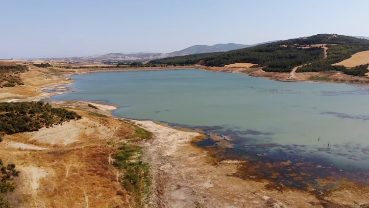 Aa Picture 20250813 38817600