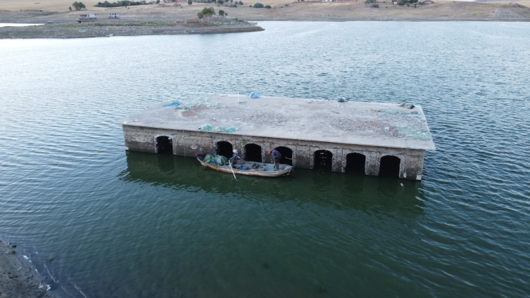 Aa Picture 20250815 38834880